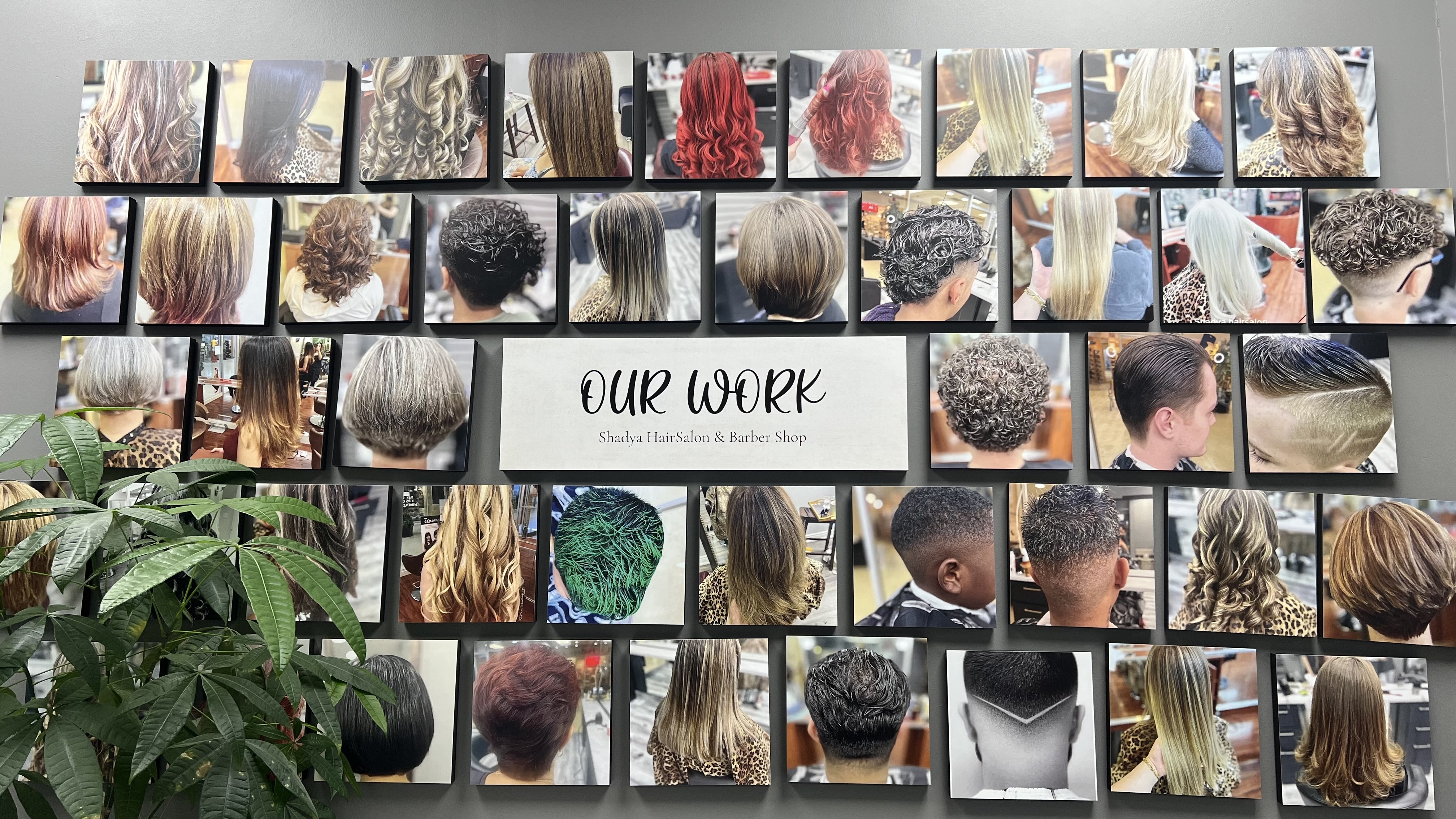 Shadya Hair Salon & Barber Shop